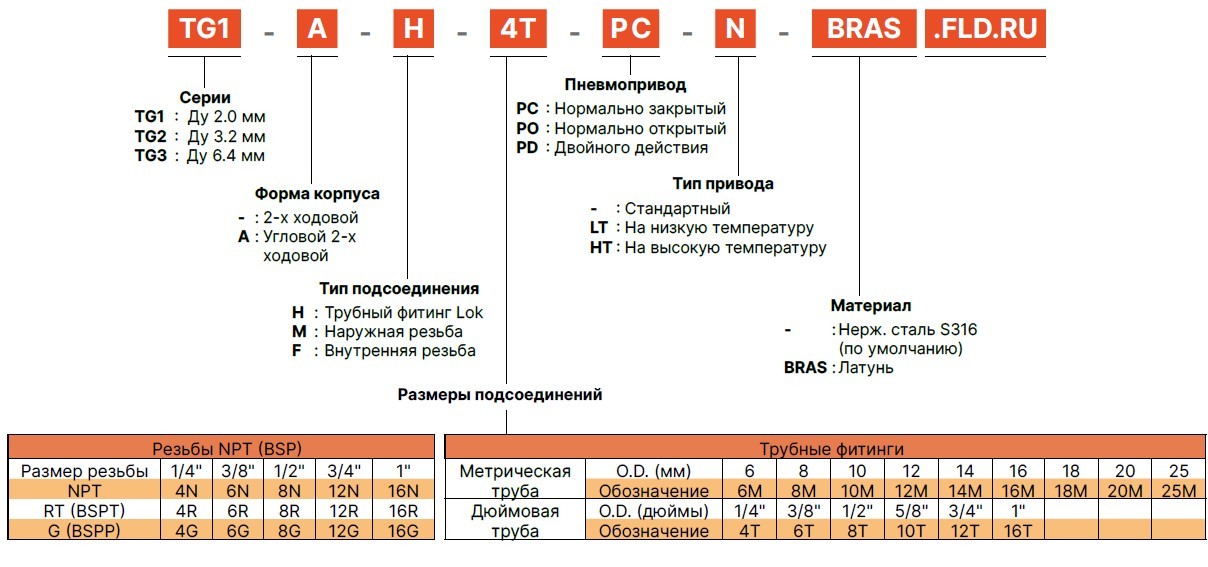 TG2